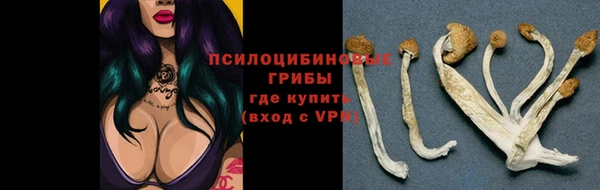 ПСИЛОЦИБИНОВЫЕ ГРИБЫ Нефтегорск